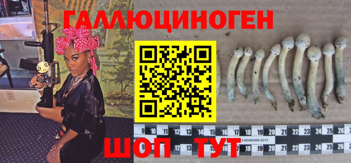 Псилоцибиновые грибы ЛСД Камень-на-Оби