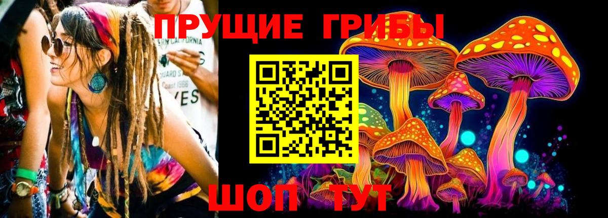 Галлюциногенные грибы GOLDEN TEACHER  где купить наркоту  Камень-на-Оби  Псилоцибиновые грибы GOLDEN TEACHER  Вход с VPN 